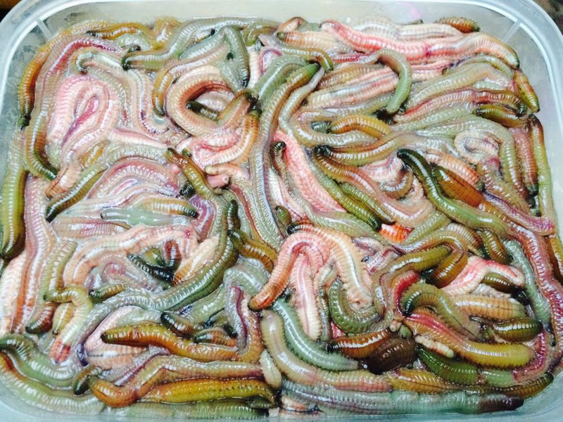 Bật mí cách làm bánh đa nem rươi giòn rụm | mon ngon tu banh da nem