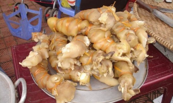 Giới thiệu về Vó Bò Giới thiệu về Vó Bò