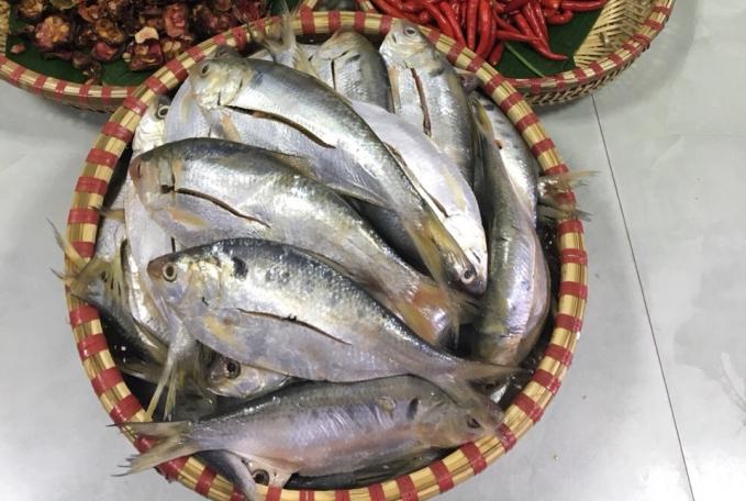 Cá mòi tươi sạch tại Hà Nội, HCM - 120k/kg