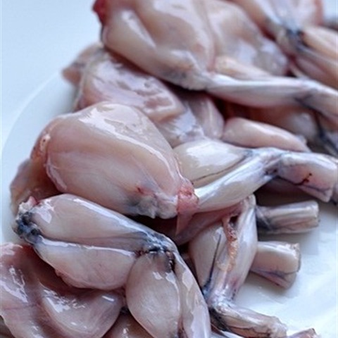 Thịt đùi ếch là phần nào?