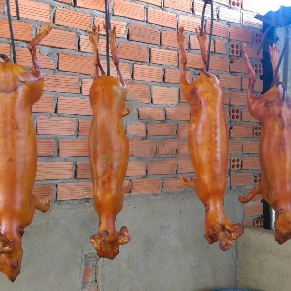 Cửa hàng bán thịt thỏ hỗ trợ thịt sẵn