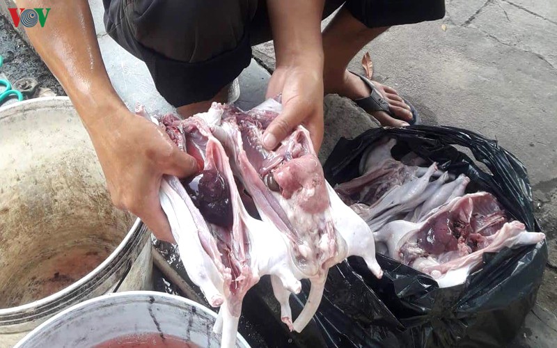 thịt chuột sau khi sơ chế