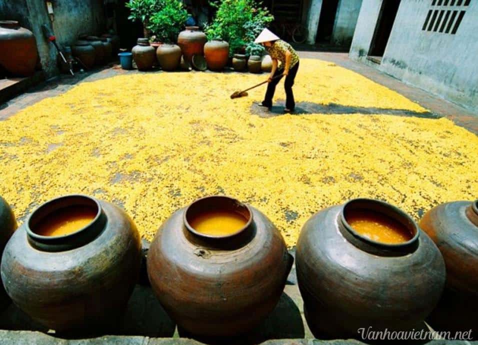 quy trình làm tương đình tổ