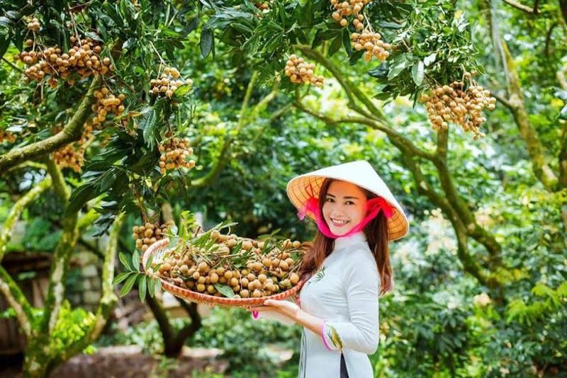 Chụp ảnh tại vườn nhãn